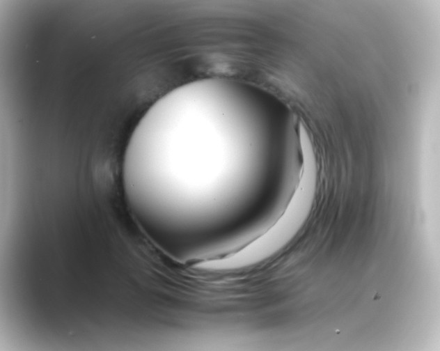 X0000088720747200706212020