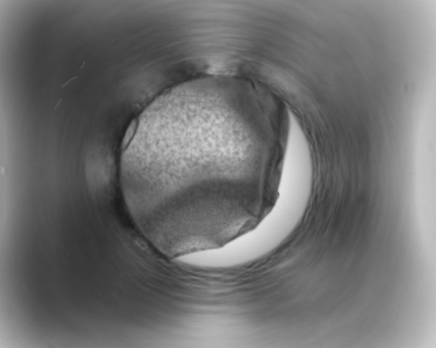 X0000088720748200706212020