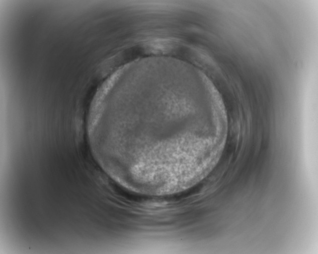 X0000088720749200706212020