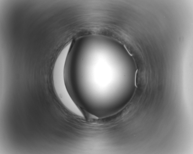 X0000088720750200706212020