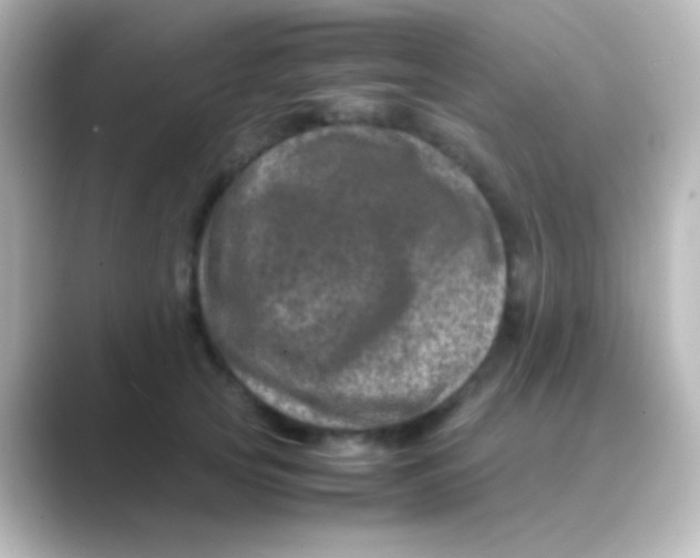 X0000088720753200706212020