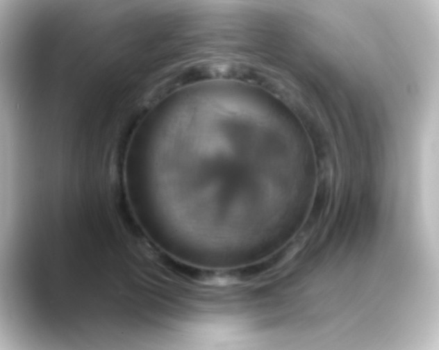 X0000088720754200706212020