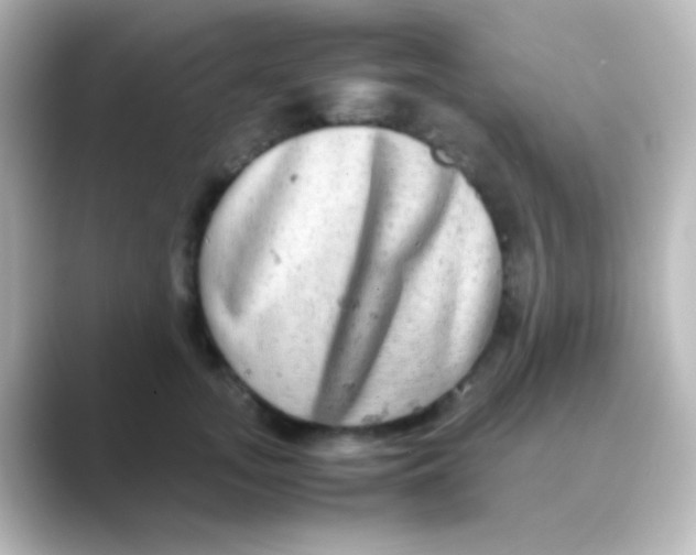 X0000088720755200706212020