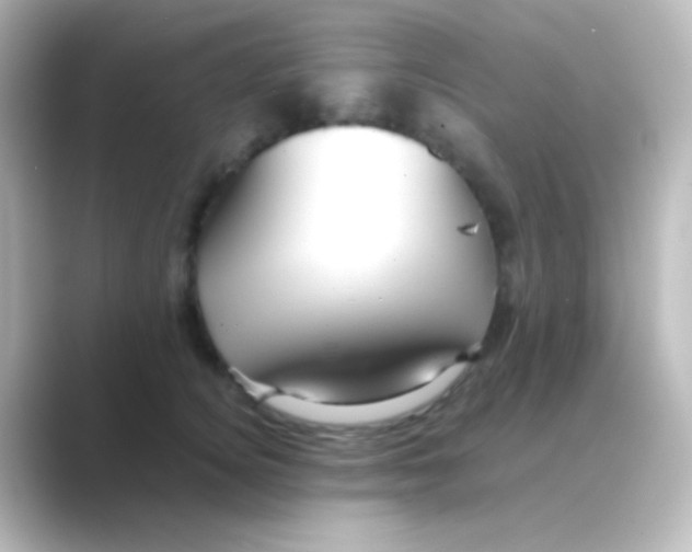 X0000088720756200706212020