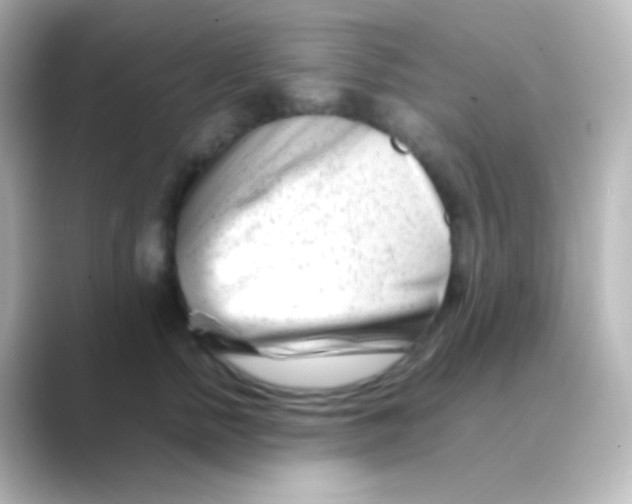 X0000088720758200706212020