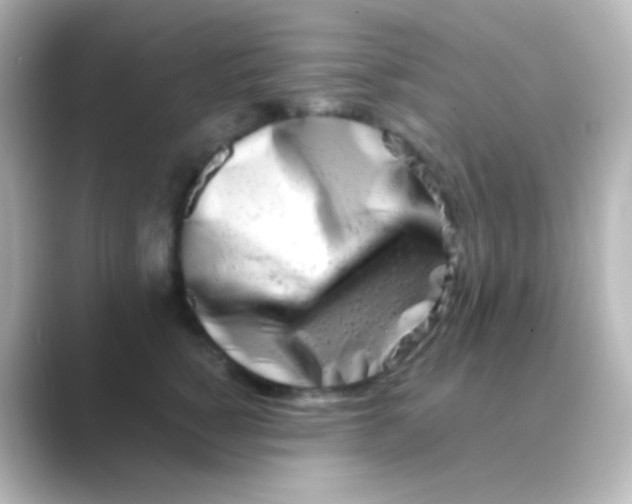 X0000088720760200706212020