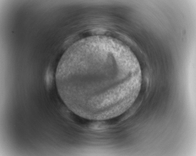 X0000088720761200706212020