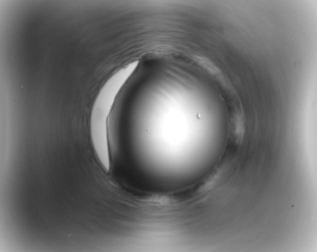 X0000088720762200706212020