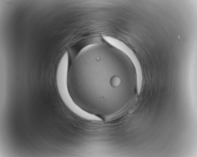 X0000088720764200706212020