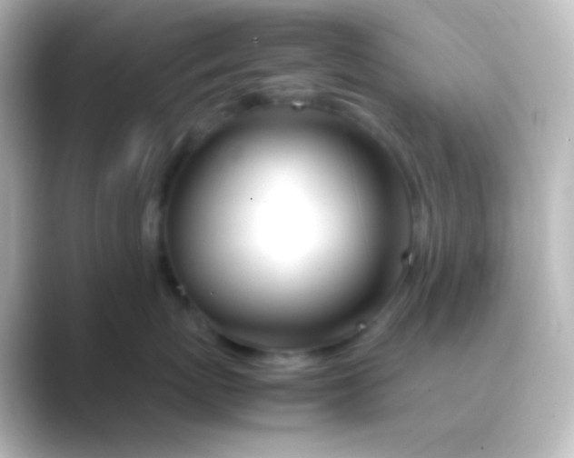 X0000088720767200706212020