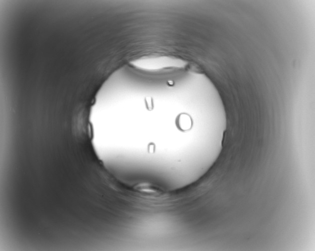 X0000088720768200706212020