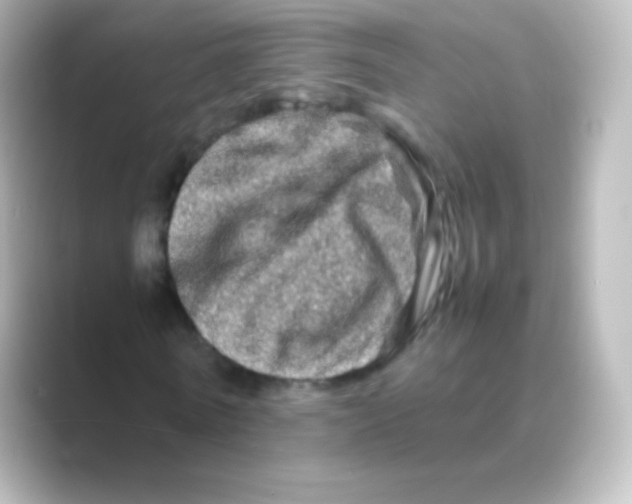 X0000088720770200706212020