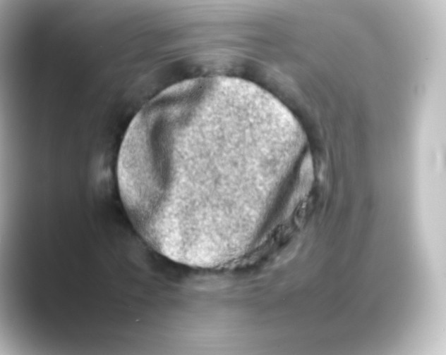 X0000088720771200706212020