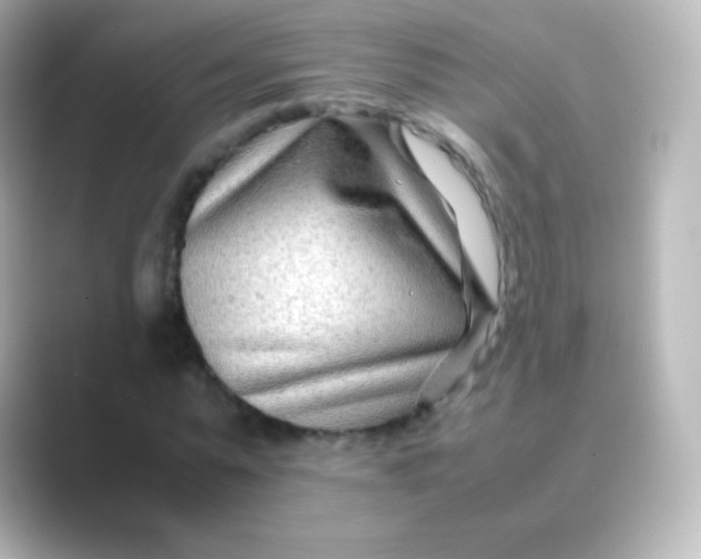 X0000088720775200706212020