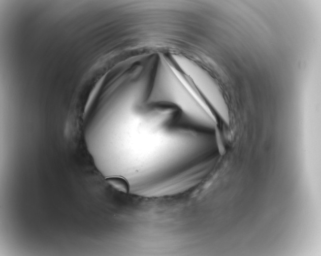 X0000088720776200706212020