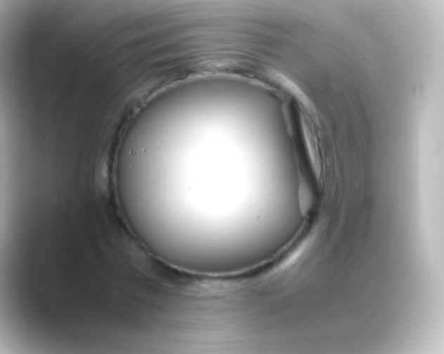 X0000088720777200706212020