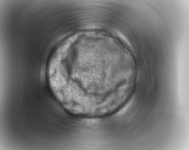 X0000088720778200706212020