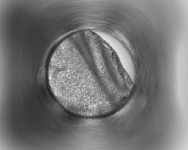 X0000088720779200706212020