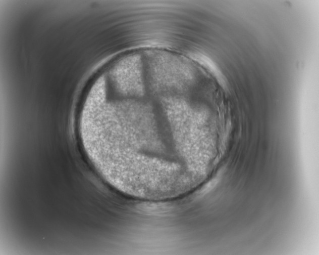 X0000088720780200706212020