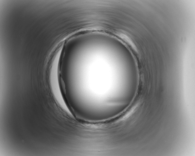 X0000088720781200706212020