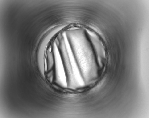 X0000088720782200706212020