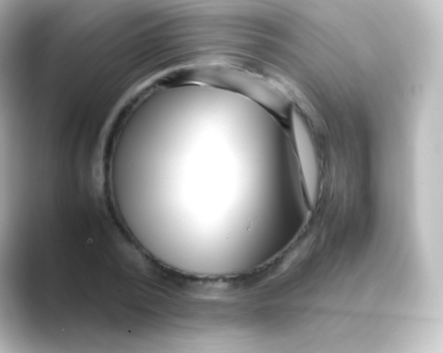 X0000088720784200706212020