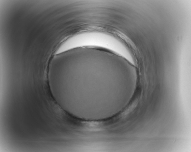 X0000088720785200706212020