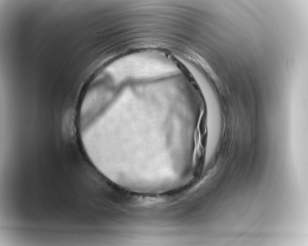 X0000088720786200706212020