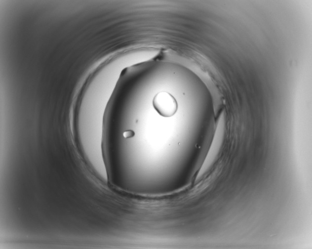 X0000088720788200706212020