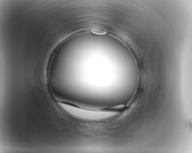 X0000088720789200706212020