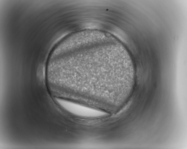 X0000088720790200706212020