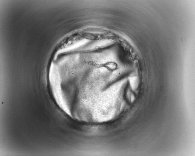 X0000088720791200706212020