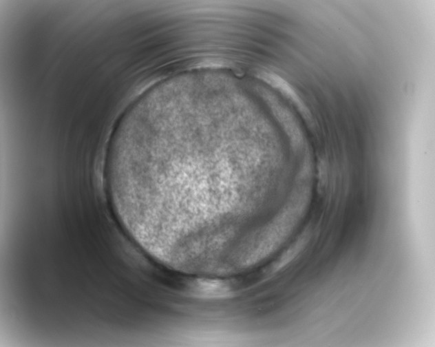 X0000088720794200706212020