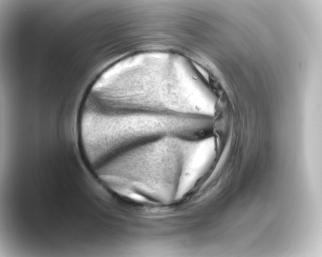 X0000088720795200706212020