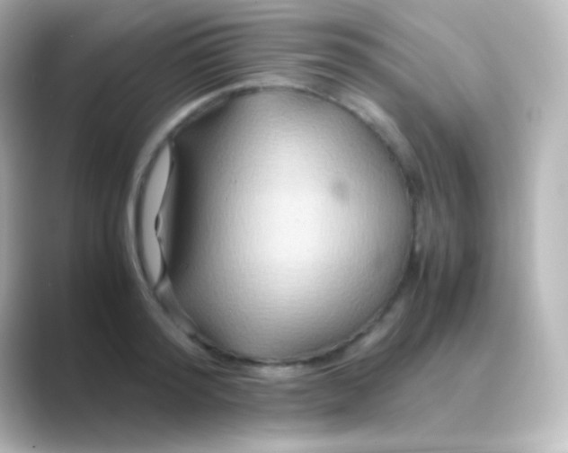 X0000088720796200706212020