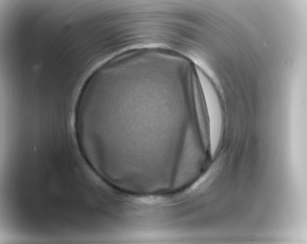 X0000088720797200706212020