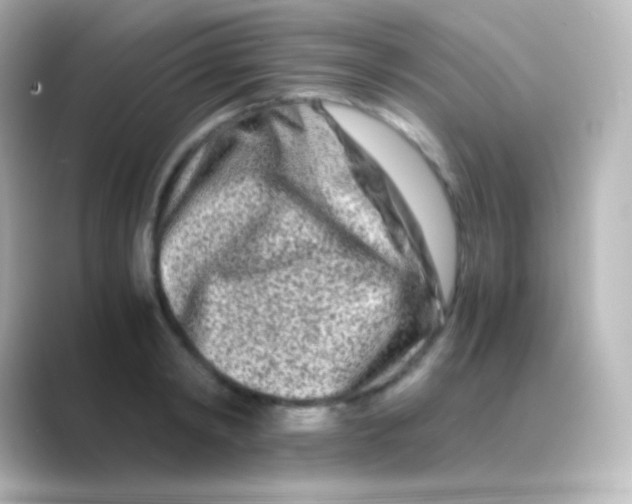 X0000088720798200706212020