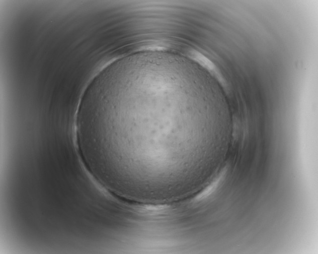 X0000088720802200706212019