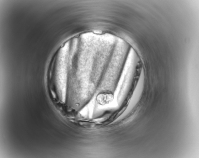 X0000088720803200706212019