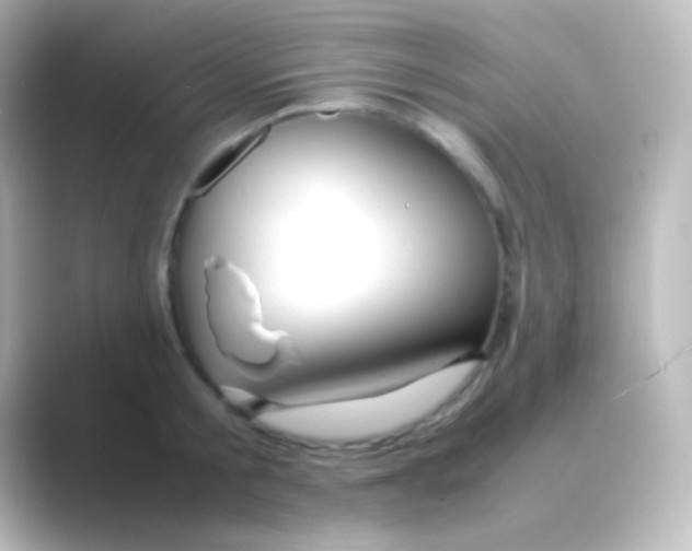 X0000088720805200706212019