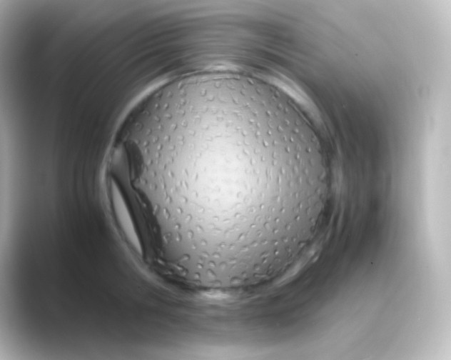 X0000088720806200706212019