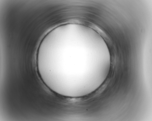 X0000088720808200706212019