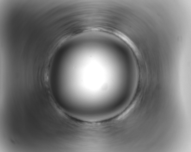 X0000088720809200706212019