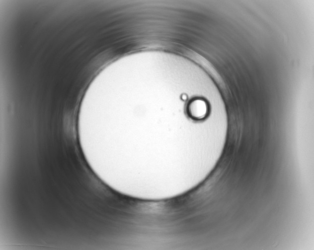 X0000088720810200706212019