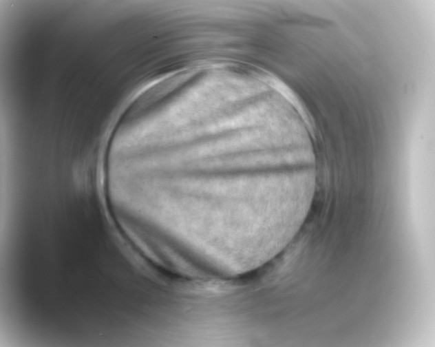 X0000088720811200706212019