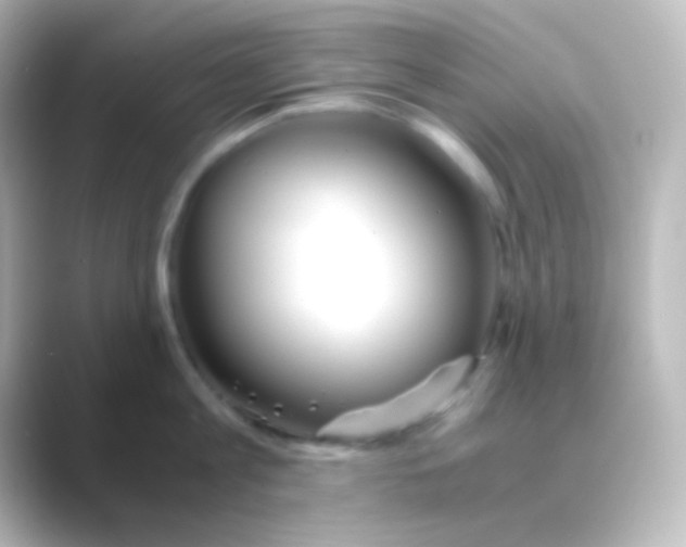 X0000088720813200706212019