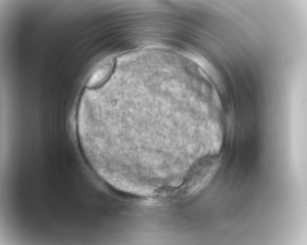 X0000088720814200706212019