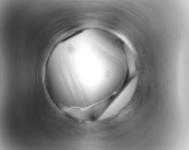 X0000088720815200706212019