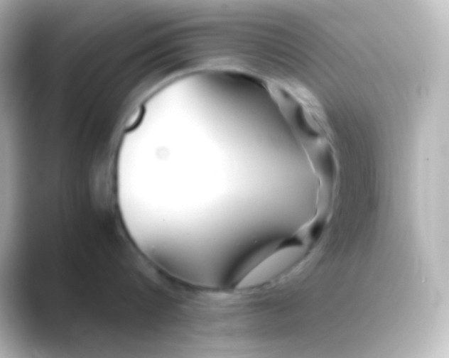 X0000088720816200706212019