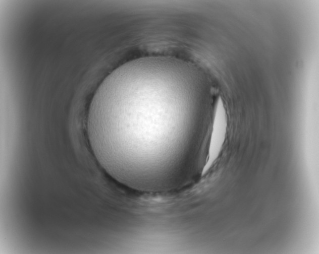 X0000088720817200706212019